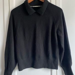 Everlane 100% cashmere collar sweater